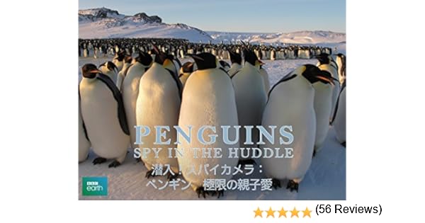 Amazon Co Jp 潜入 スパイカメラ ペンギン 極限の親子愛 字幕版 を観る Prime Video