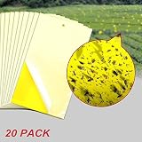 Sticky Fly Trap,Dual Side Yellow Sticky Traps Non-toxic 6*10 inch Fly Sticker for Plant Insect Like
