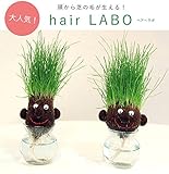 hair LABO（ヘアーラボ）底面給水タイプ　2個セット／丸顔と長顔[頭から芝が生える！] ノーブランド品