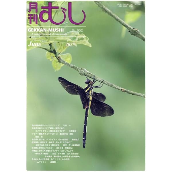 蝶の斑紋形成の研究: Volume1 Papilio maackii aberration