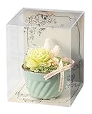 Paseo クリアケース入り プリザーブドフラワー ケークフラワー グリーン 10.5×10.5×H13cm SG-105B