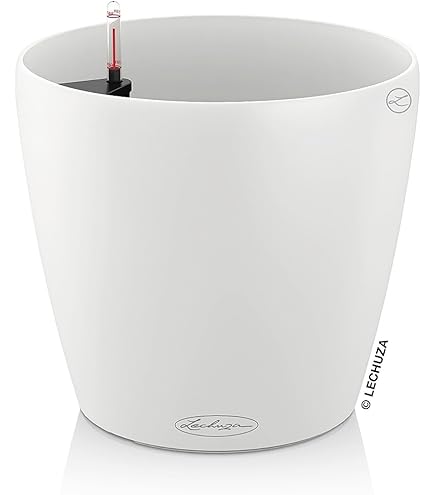 LECHUZA 15684 « BALCONERA Color 80 » Pot de fleurs avec système d'irrigation par terre muscade 79 x 19 x 19 cm LECHUZA 15684 « BALCONERA Color 80 » Pot de fleurs avec système d'irrigation par terre muscade 79 x 19 x 19 cm