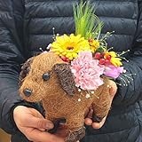 子犬のバスケットに季節のお花をセット 誕生日や開店祝い、退職・送別のプレゼント　フラワーアレンジメント　ミックス系（オリジナルデザイン） 花 ギフト