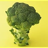 国産 ブロッコリー 1箱5kg