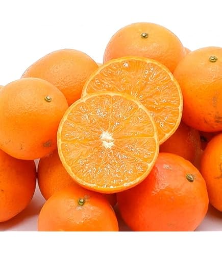 Amazon.co.jp: 屋久島 たんかん 未選別 混載 5kg （5.5~9cm M/L/2L）ご 