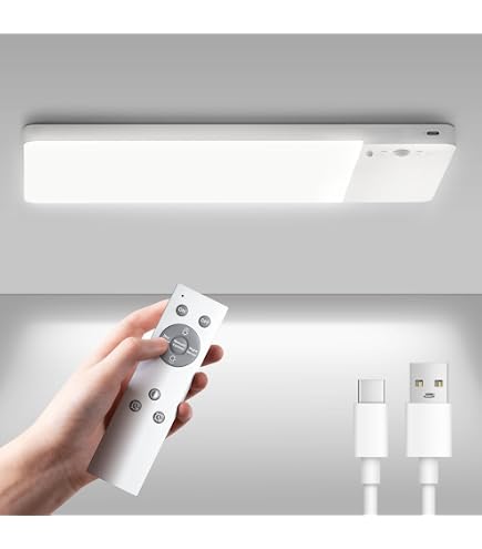 Amazon.co.jp: 大光電機 DAIKO LED非常灯 LED内蔵 埋込穴φ100 低天井用