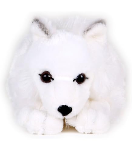 Amazon.co.jp: ホッキョクギツネ KOSEN(ケーセン社) 25cm Arctic Fox