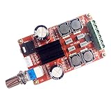 Baoblaze オーディオアンプ基板　TPA3116 　12V-24V 　D2　デジタル　デュアルチャンネル　Arduino用　