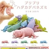 キタンクラブ プリプリ ハダカデバネズミ 全5種 コンプリートセット
