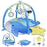 Dr.Rapeti 子供‌ジム·プレイジム·プレイマット·ジム ‌室内遊具 子供‌向けジム·カシャカシャ音出る 鳴る笛 柔らかい