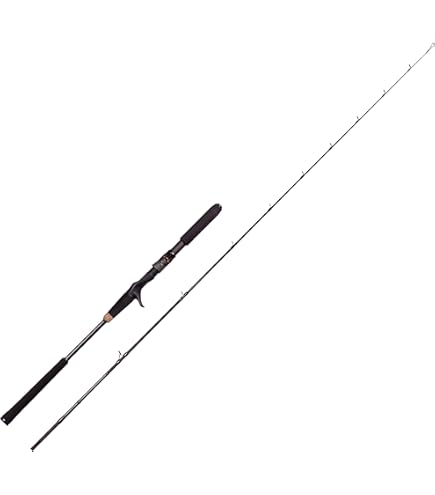 アブガルシア　オーシャンフィールドライトジギングロッドOFLS632/120 Amazon | Abu Garcia (アブガルシア) OCEANFIELD LJ オーシャン
