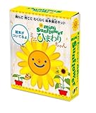 読んで育ててわくわく！絵本栽培キット　ミニひまわり