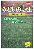 サカタのタネ みどりの芝生 小袋 00155160-01