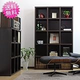 BS-1018DBR サンニード ビックシェルフ　１０１８ＤＢＲ