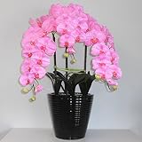 アートフラワー 胡蝶蘭 光触媒 造花 鉢植え LLサイズ-3本立 H100cm(ピンク-黒鉢)