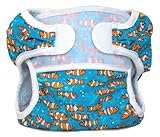 Bummis Swimmi Cloth Diapers, Clown Fish, Medium (15-22 lbs) (Discontinued by Manufacturer) by Bummis