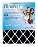 17 – 1 / 4 x 26 x 1（実際サイズ) Accumulairカーボンodor-banフィルタ