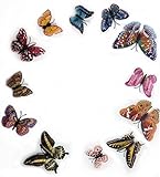 Removable Diy 3d Colorful Butterfly Wall Sticker Murals Wall Decals Wall Decorations Art Decor Decor