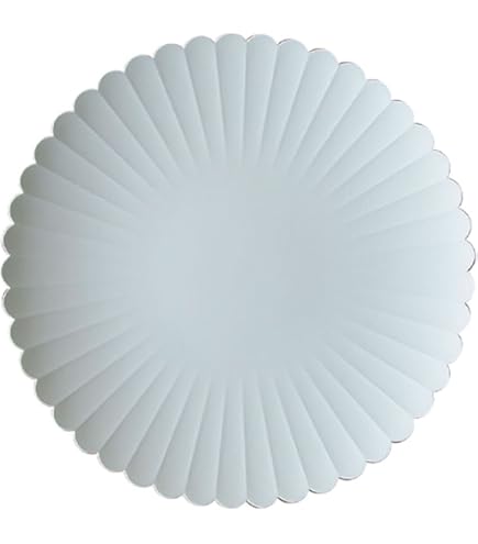 Amazon.co.jp: 1616 Arita japan 有田焼 中皿 TYパレス160 plain