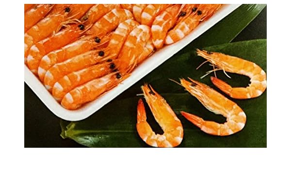 トップ100 釣り ボイルエビ 魚のすべて