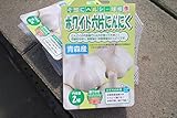 【秋植え球根】種 ニンニク：ホワイト六片青森産ニンニク2球入り 2袋セット【送料無料】