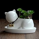 Liebeye 植木鉢　ラブリー　クリエイティブ　セラミック　犬の猫のポット　ミニサクランジュ　植物の容器　ホームオフィスの装飾 ホワイト 猫