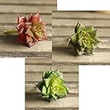 Supla 3 pcs Small Faux多肉植物Unpottedフェイク植物Succulentステム人工植物フェイクLand Lotus Landscape Fake Flower Arrange