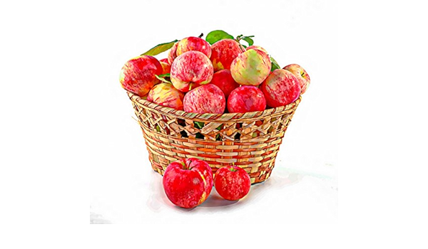 Amazon ラミネート加工ポスターのバスケットりんごイラストポスタープリント24 X 36 Home Comforts アートフレーム ポスター