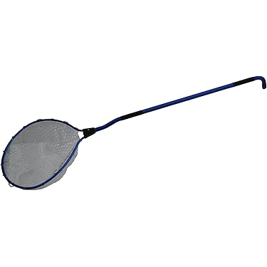 Amazon.co.jp 最新リリース: 玉網・ランディングネット の新着