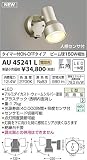 AU45241L 電球色LED人感センサ付ウトドアスポットライト(グリーン購入法適合製品)