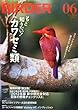 BIRDER (バーダー)2013年 06月号 もっと知りたい! カワセミ類【特別付録 2013年版新分類完全対応 日本の野鳥チェックリスト】付き