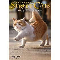 超希少 猫 洋書 画集 写真集 コレクション まとめ売り50冊 STREET CATS -のらねこ。写真集- | 中川 こうじ |本 | 通販 | Amazon