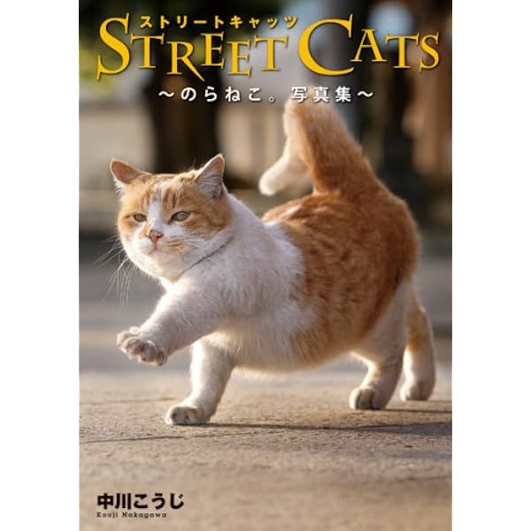 STREET CATS -のらねこ。写真集- | 中川 こうじ |本 | 通販 | Amazon