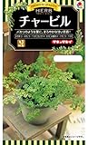 タキイ種苗 ハーブ チャービル