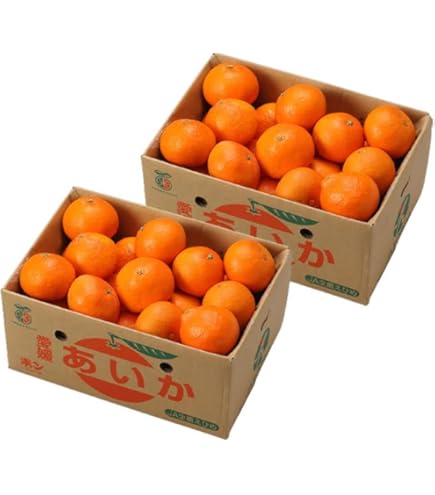 Amazon.co.jp: みかん あいか 5kg×2箱 〇等級 4L～Lサイズ 紅まどんな