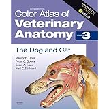 Color Atlas of Veterinary Anatomy, Volume 3, The Dog and Cat: The Dog & Cat: 03