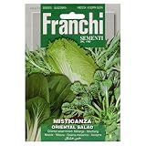 野菜の種 オリエンタルサラダミックス ORIENTAL SALAD 93/17