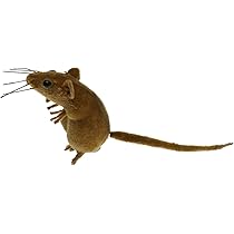 フジカラー　ネズミのフィギュア新品未開封 大量まとめ出品 フジカラー ネズミのフィギュア新品未開封 大量まとめ出品