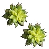 Auntwhale 人工偽プラスチック多肉植物ミニ景観盆栽材料DIY Fairy Garden Floral Deco