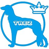 14色 愛犬名 or 犬種名入り サルーキ ステッカー DOG ON BOARD【DOG IN CAR 愛犬 ワンコ 名入れ ネーム ドッグ 犬 カーサイン TREZ　名前 名前入れ】 (ライトブルー