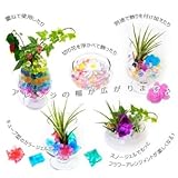 ジェリーボール マジッククリスタルボール ぷよぷよ 【色：エメラルドグリーン】ハイドロカルチャー（観葉植物）/DIY ガーデニング/水耕栽培/培養土類