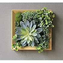 51yXXFAWBBL._AC_UL210_SR210,