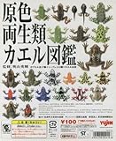 原色両生類カエル図鑑　ノーマル全２３種セット
