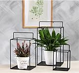 Plant shelf フラワーポットラック、植物ディスプレイスタンドデスクトップ装飾シェルフセット3ブラック Flower racks ( 色 : ブラック , サイズ さいず : 12*22cm/