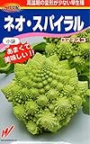 【種子】 ネオ・スパイラル ロマネスコ 渡辺農事
