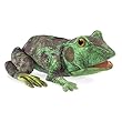 Folkmanis Frog Life Cycle Hand Puppet