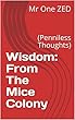 Wisdom: From The Mice Colony: (Penniless Thoughts) (English Edition)