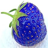 11.11 Promotions Direct Selling 100pcs Strawberry Seeds Indoor Plants Tree Rare Seed Fruit Seeds Hom