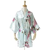 Robe&Wedding SLEEPWEAR レディース Long Styleファッション Women's Sexy Robes Yukata Satin ナイトウエア Nightwear (ligh