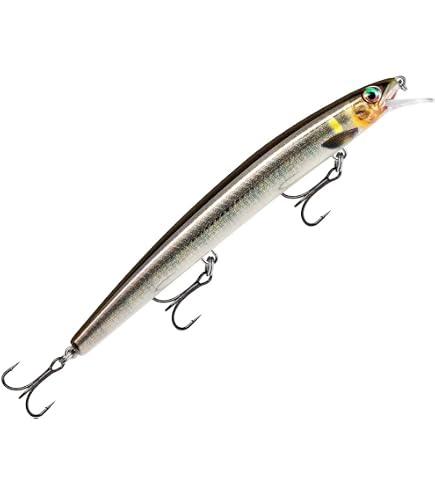 Amazon.co.jp: ラパラ(Rapala) マックスラップ 11cm #BSBL ライブ